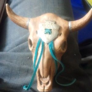 Unique cow skull